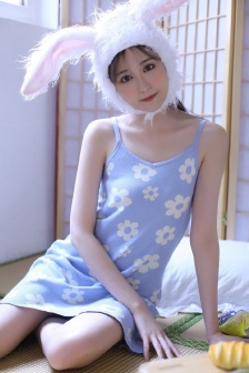 金瓶风月